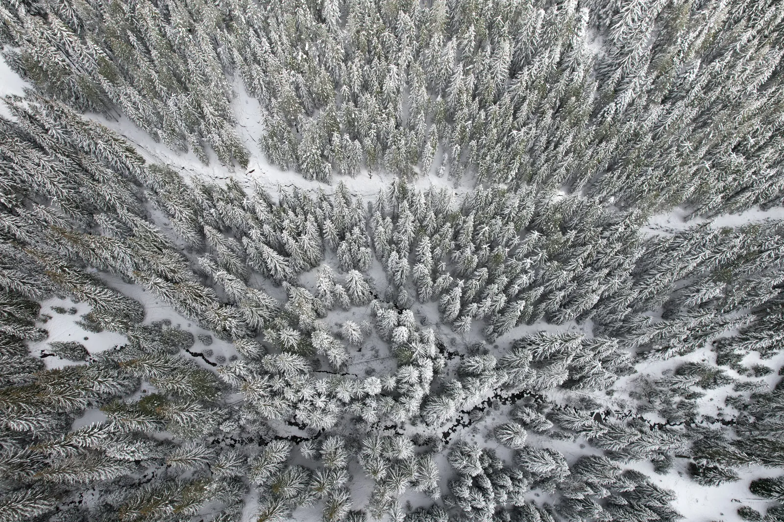 Най-високата къща — 2