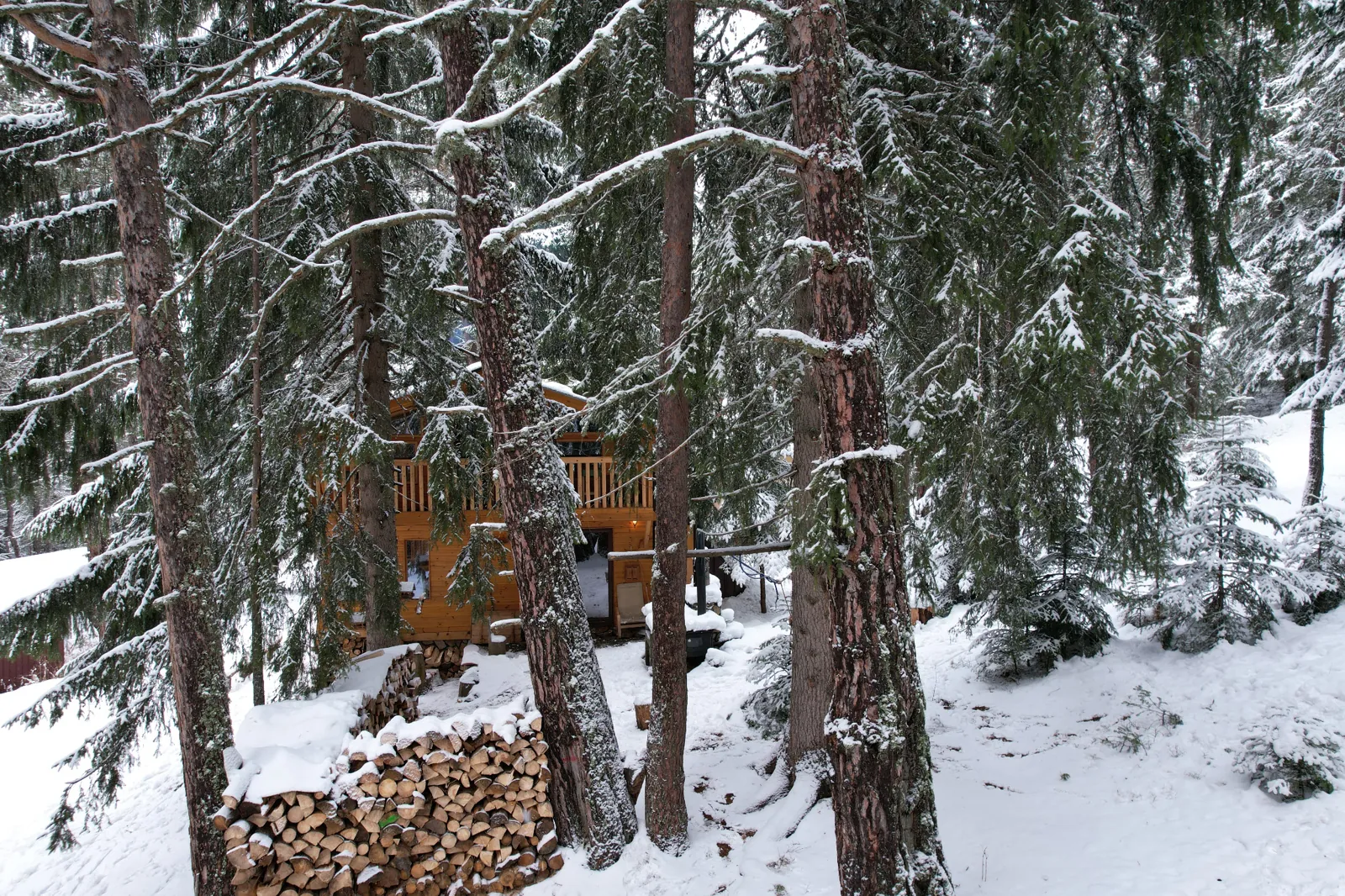 Създадено от мечта — 2