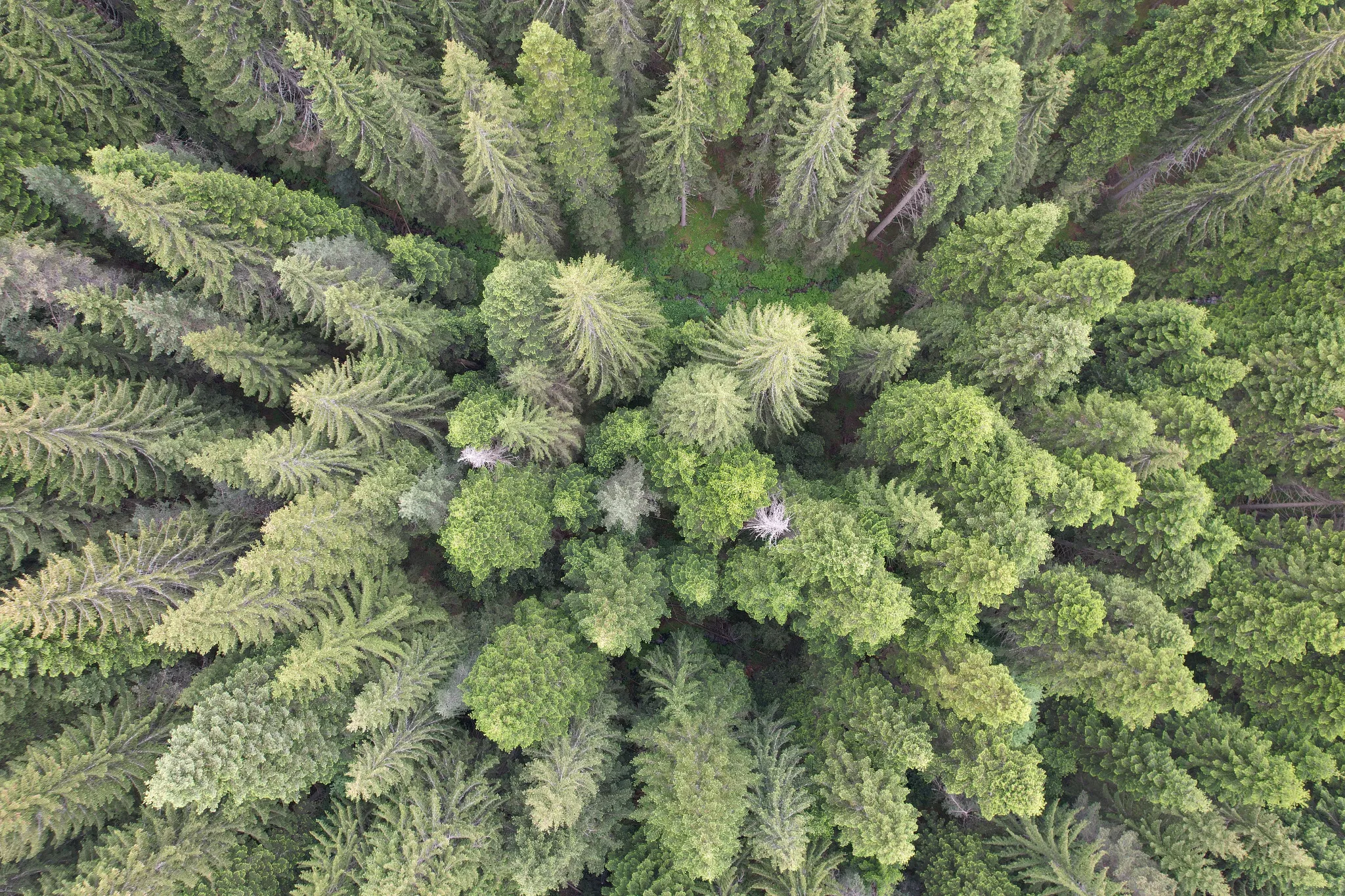 Сърцето на Рила — 2