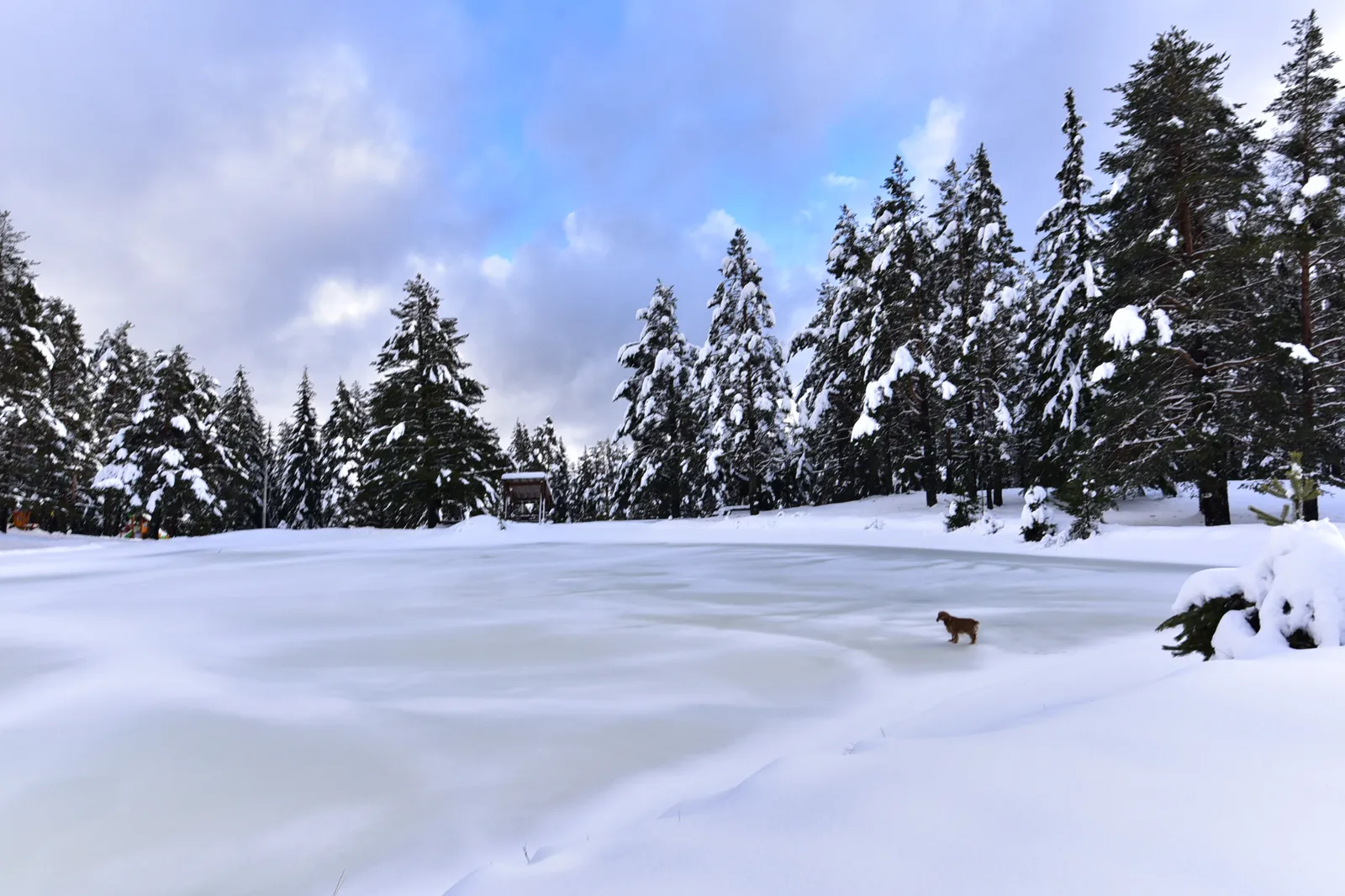 Чист въздух и вода — 2