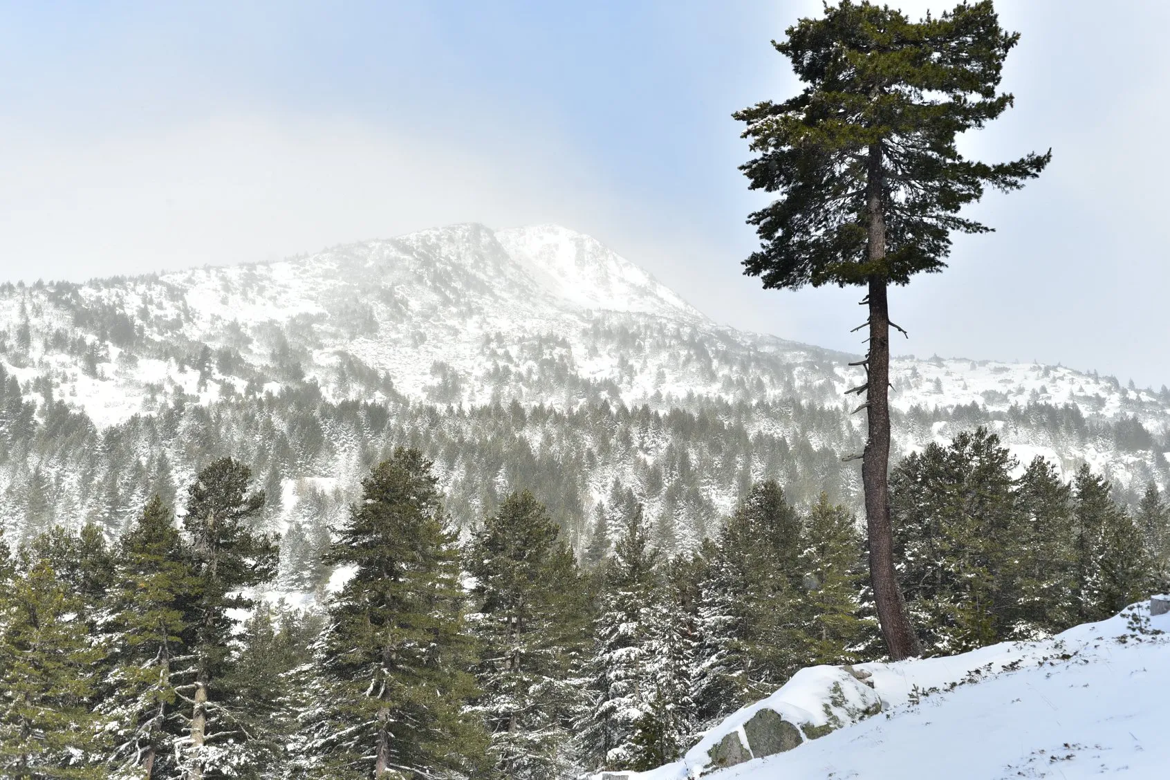 Чист въздух и вода — 1