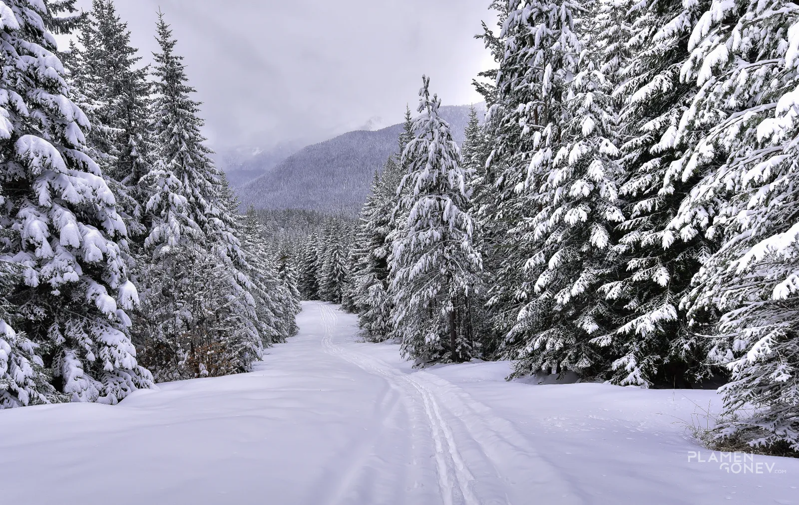 Зими и лета — 2