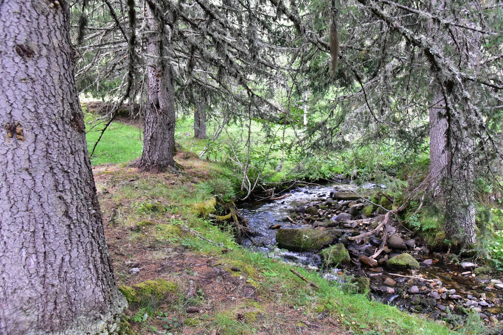 Зими и лета — 3