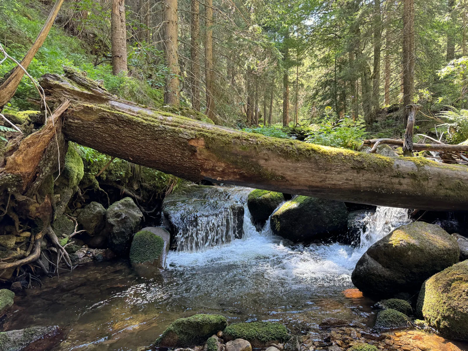 Зими и лета — 4