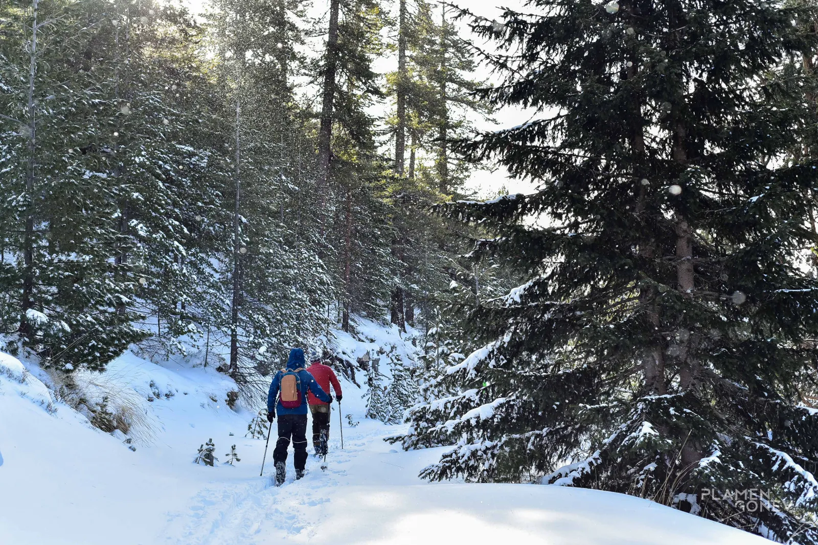 Зими и лета — 1