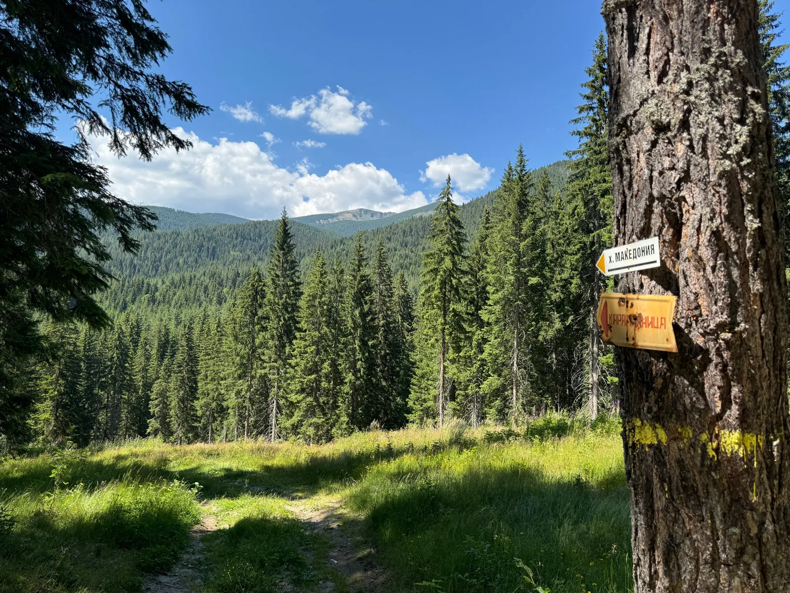 Пътеки от къщата — 3