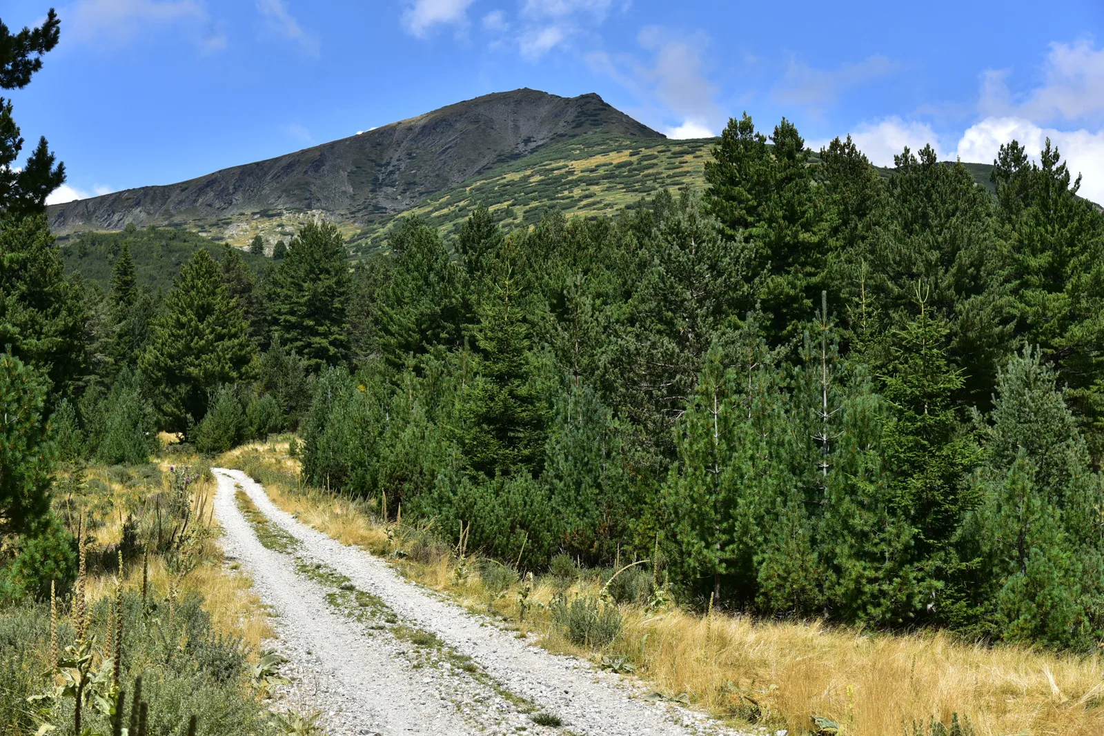 Пътеки от къщата — 1