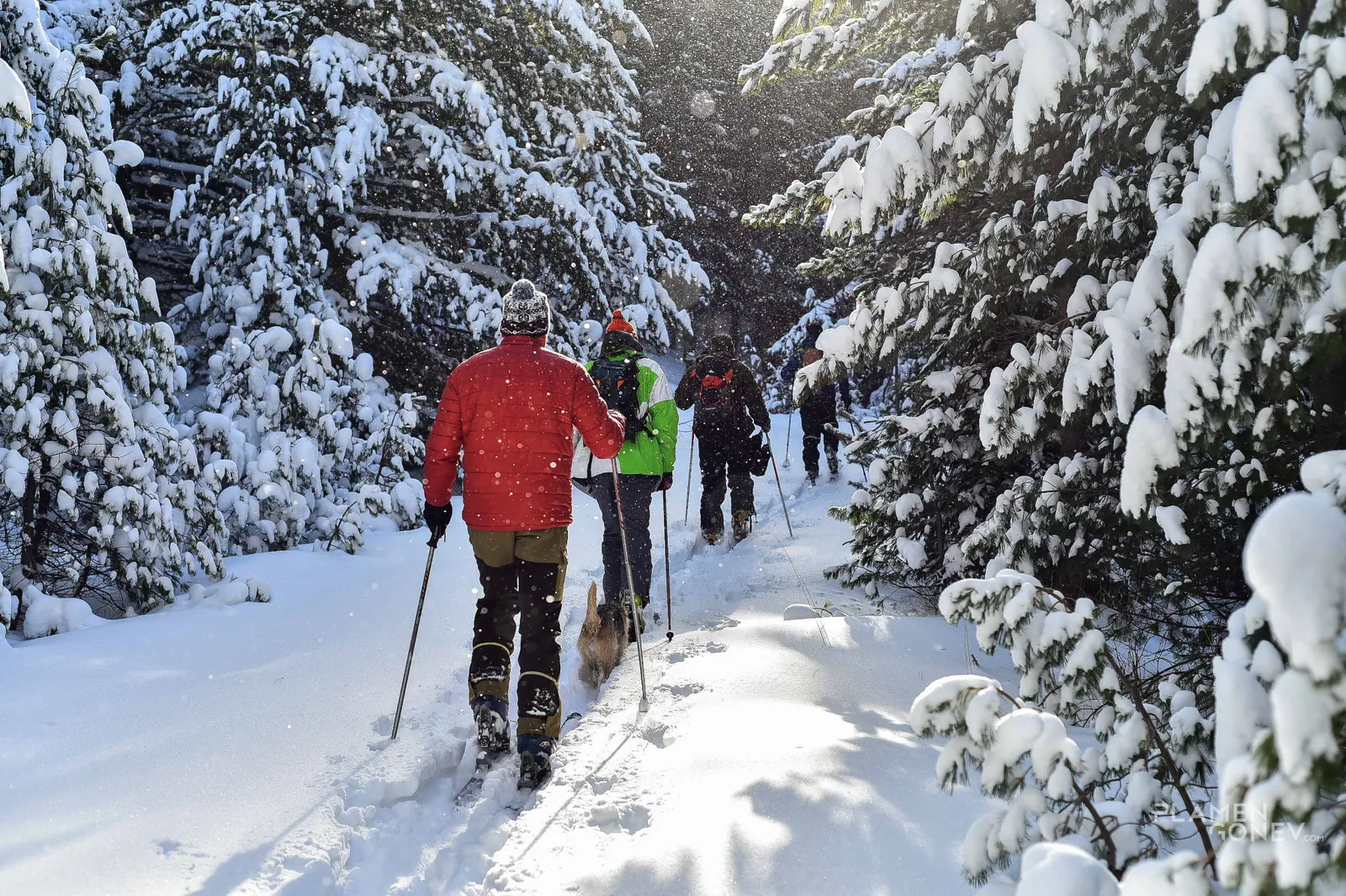 Рай за активни — 2